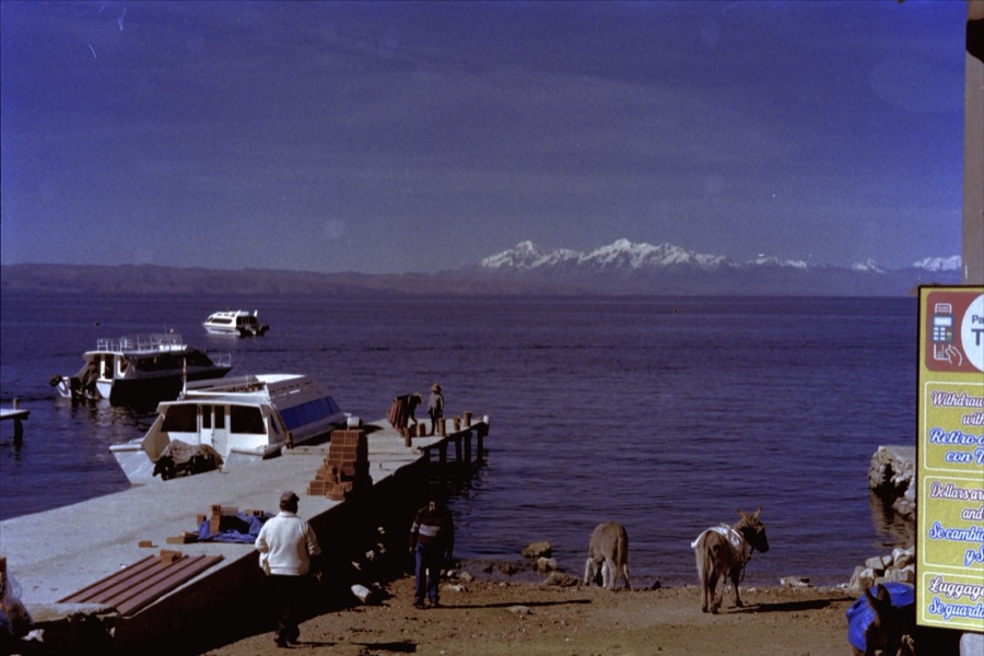 Boats at a jetty on Lake Titicaca with donkeys on the shore and the Cordillera Real behind