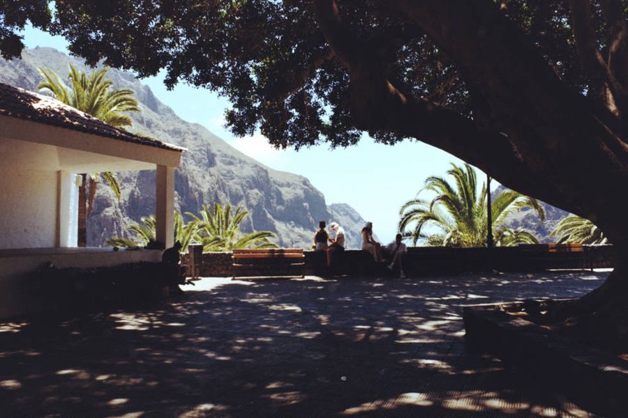 A shaded terrace under a large tree looking out to the Masca valley