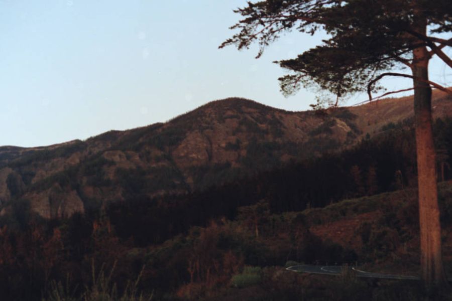 A wooded ridge at last light