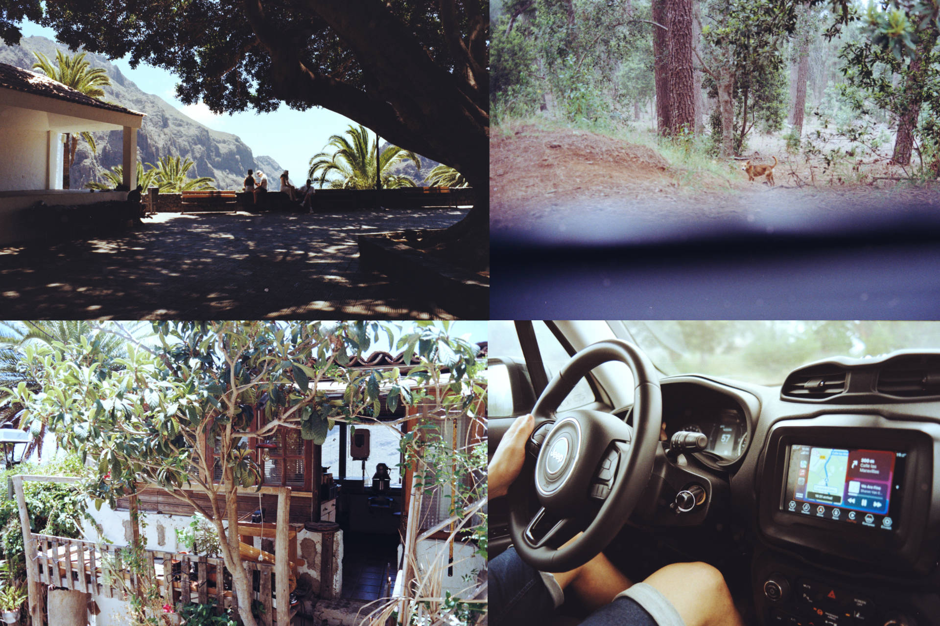 Color_Plus_sample_pics