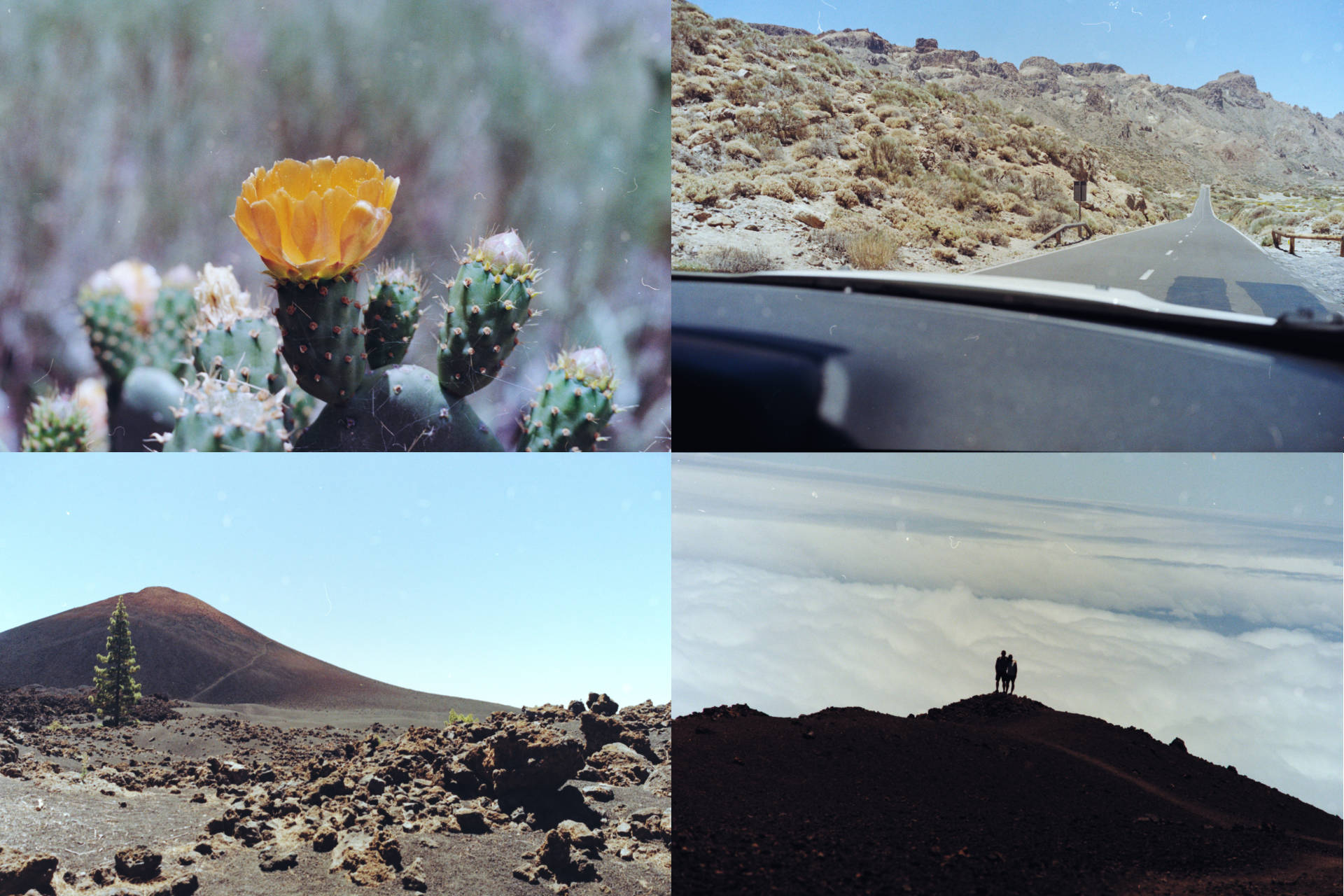 Kodak_ProImage_100_sample_pics